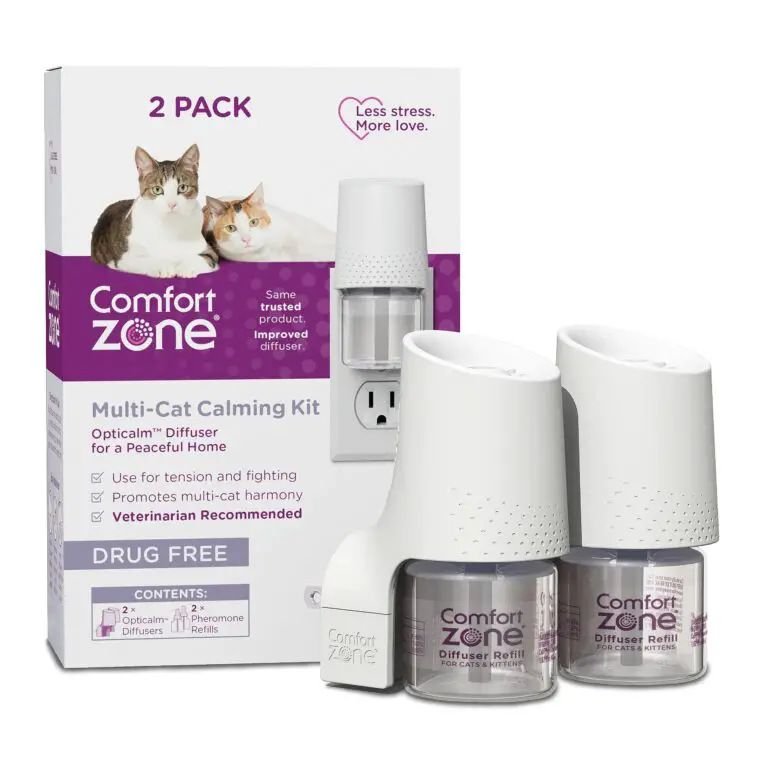 Cat Comfort Zone: Essential Products for Creating a Happy Home for Your Kitty