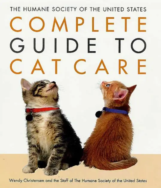 Feline Family Planning: A Guide to Ethical and Caring Cat Breeding Practices