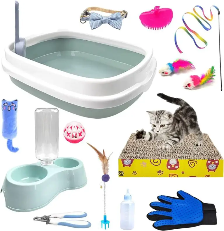 Meow Must-Haves: Building a Well-Stocked Arsenal of Cat Essentials