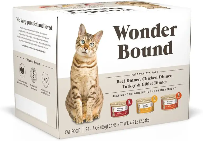 Whisker Wonders: Essential Supplies to Keep Your Cat Happy and Healthy